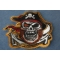 Pirate Skull Patch diagonal view