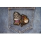 Butterfly Biker Patch shown on jeans