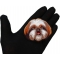 Shih Tzu Dog Patch shown on hand for size comparison