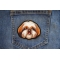Eddie Shih Tzu Dog Patch shown on jeans