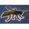 Wasp Patch diagonal view