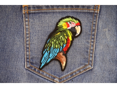 Parrot Patch