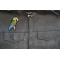 Parrot Patch shown on leather vest