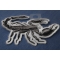 Scorpion Patch diagonal view