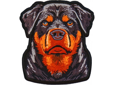 Rottweiler Stare Patch