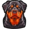 Rottweiler Stare Patch