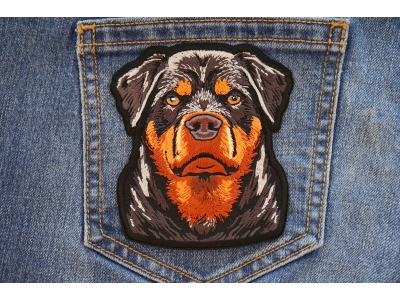 Rottweiler Stare Patch