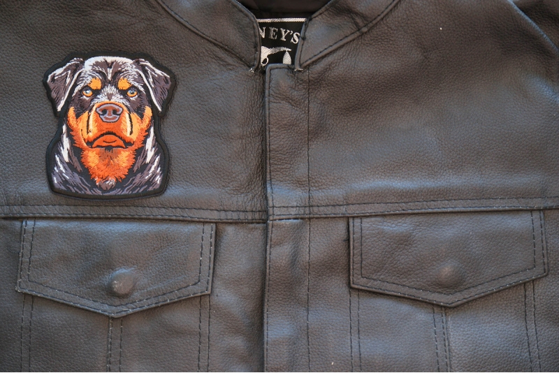 Rottweiler Stare Patch