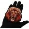 Lion Stare Patch shown on hand for size comparison