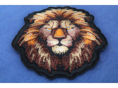 Lion with a Stare Patch