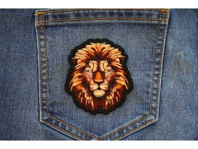 Lion with a Stare Patch