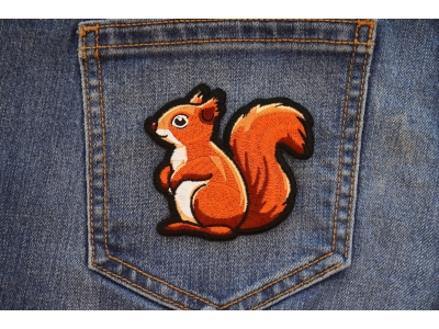 Cute Squirrel Patch