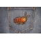Cockroach Patch shown on jeans