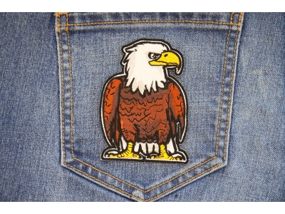 Tooney Eagle Patch