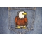 Tooney Eagle Patch shown on jeans