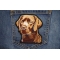 Labrador Dog Patch shown on jeans