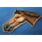 Horse Head Patch diagonal view