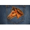 Horse Head Patch shown on jeans