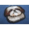 Yeddie Shih Tzu Dog Patch diagonal view