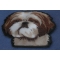Yoo Shih Tzu Dog Patch diagonal view