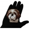 Shih Tzu Dog Patch shown on hand for size comparison