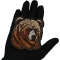Bear Patch shown on hand for size comparison
