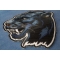 Jaguar Patch diagonal view