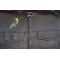 Parrot Patch shown on leather vest
