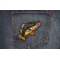 Fish Patch shown on jeans