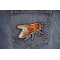 Fly Patch shown on jeans