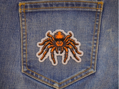 Spider Patch