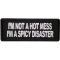 I'm Not A Hot Mess Im A Spicy Disaster Patch