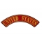 United States Large Top Rocker Patch