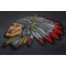 Indian Chief Patch diagonal view