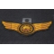 Orange Wings Motorcycle Patch diagonal view