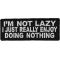 I'm Not Lazy I Just Really Enjoy Doing Nothing Funny Iron on Patch