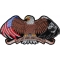 All Gave Some and Some Gave All POW MIA Eagle Patch