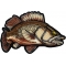 Bass Fish Patch