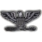 Colonel Eagle Insignia Patch