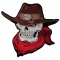 Red Scarf Cowboy Skull Patch