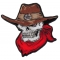 Cowboy Skull Patch