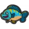 Cute Fish Patch