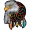 Eagle Feathers Dreamcatcher Native Shaman Patch Iron on 