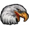 Eagle Head Facing Right Iron on Biker Patch