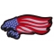 American Flag Eagle Patch