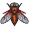 Fly Patch