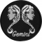 Gemini Zodiac Patch