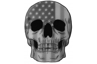 Group 8 Skull large