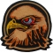 Hawk Iron on Patch