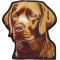 Labrador Dog Patch